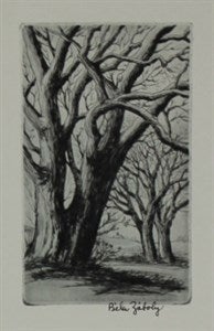 Image description is not available for DU1947.114